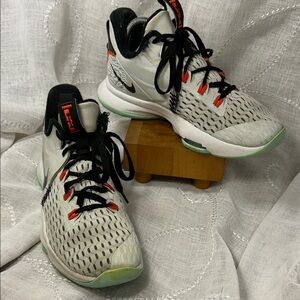 Nike LeBron Witness 5 'Pure Platinum Light Dew' CQ9380-006